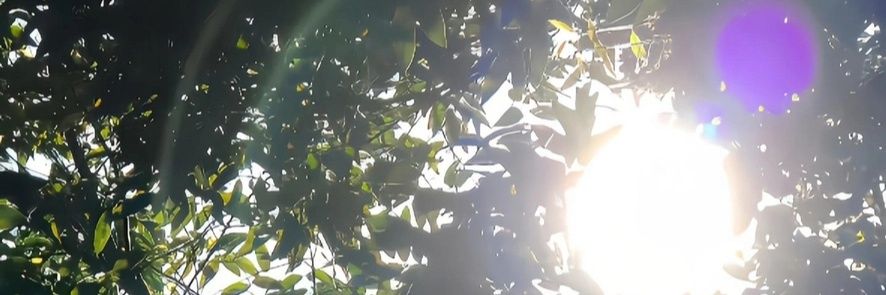 MimiMuthia's profile banner image