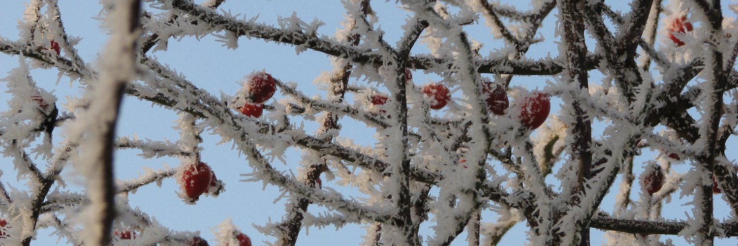 ewelina bakała banner
