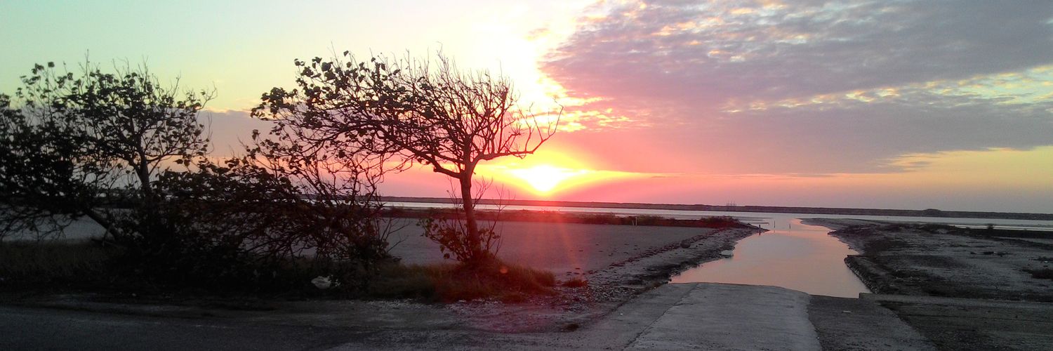 karama0722's profile banner image
