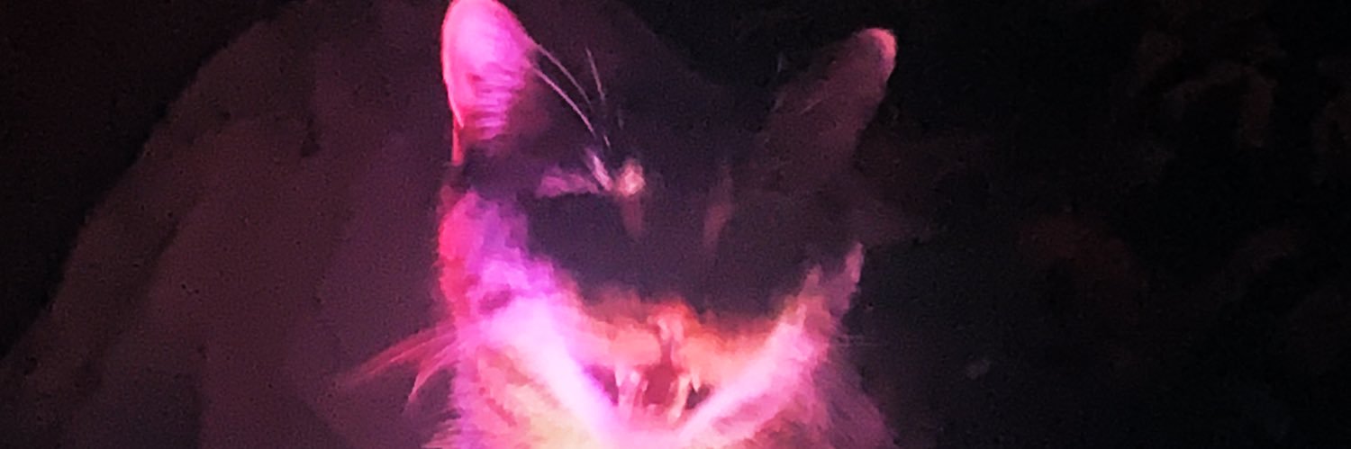genericsadness's profile banner image