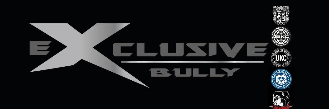 exclusivebully's profile banner image