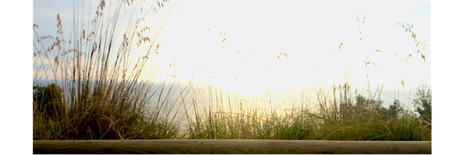 AranchaMarti's profile banner image