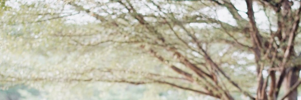 pppr__y's profile banner image