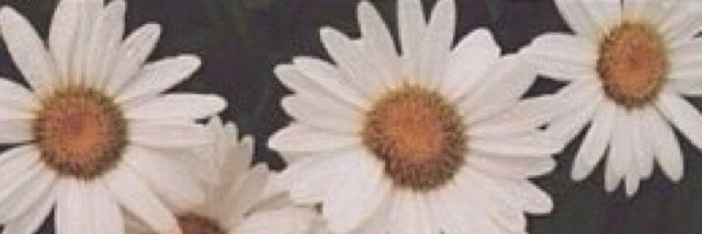 fluffoffjenny's profile banner image