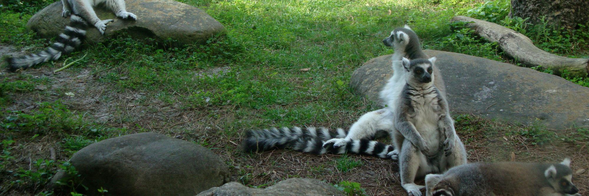 Gerald Beldman banner