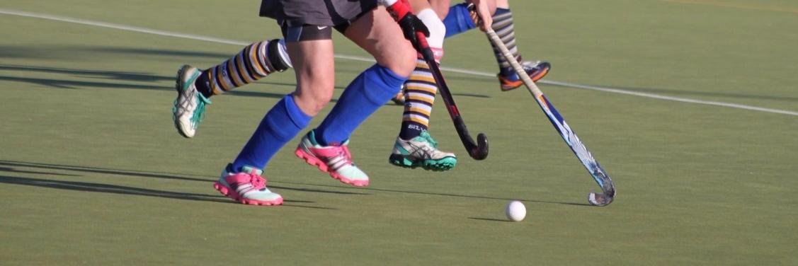 Hamble Hockey Club banner