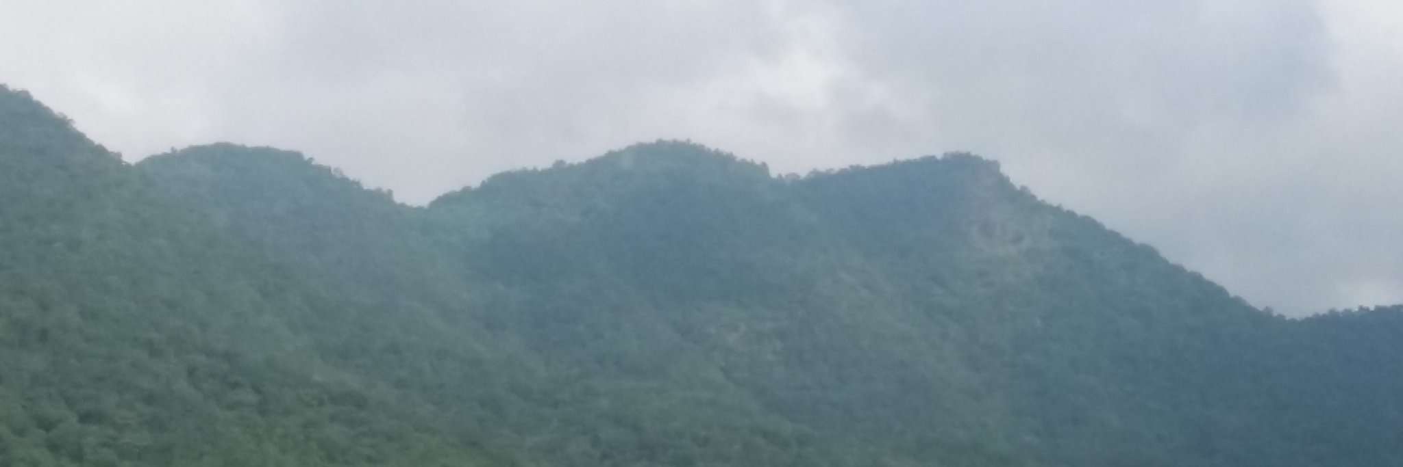 pallabpradhan3's profile banner image