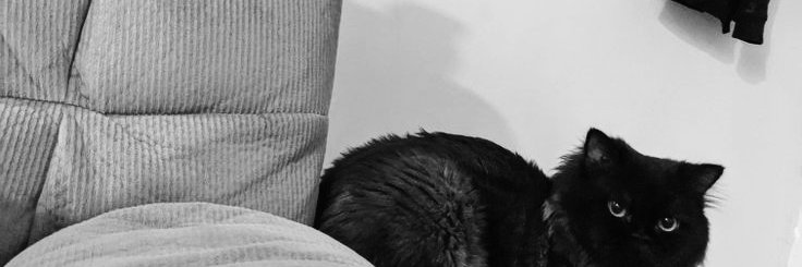 yesirsptr's profile banner image