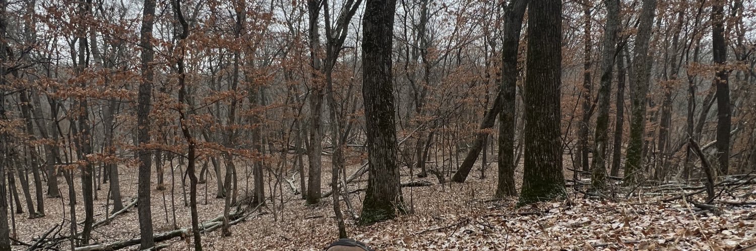 JelskiM's profile banner image