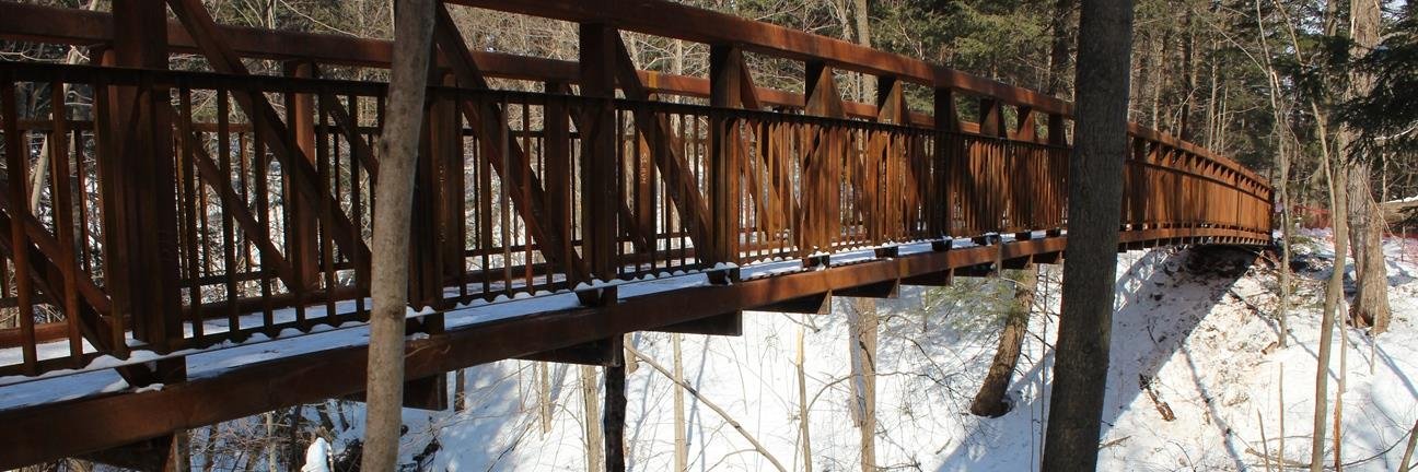 Jane Fogal🇨🇦🇺🇦 banner