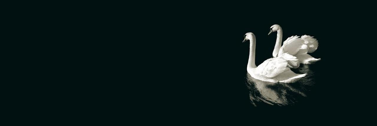 Volgagambit's profile banner image