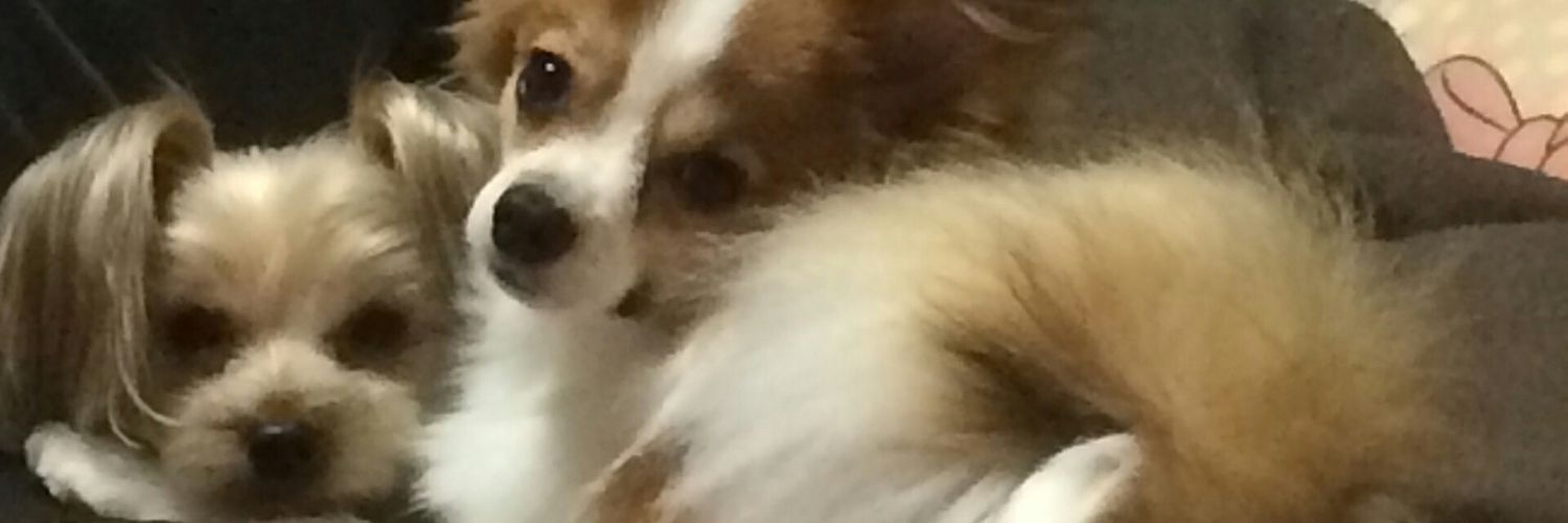 10ToKiWa10's profile banner image