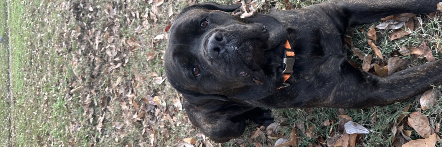 Coach Timaje Porter banner