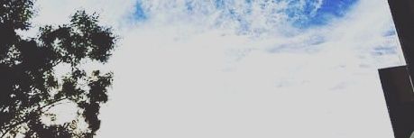 amparo682's profile banner image