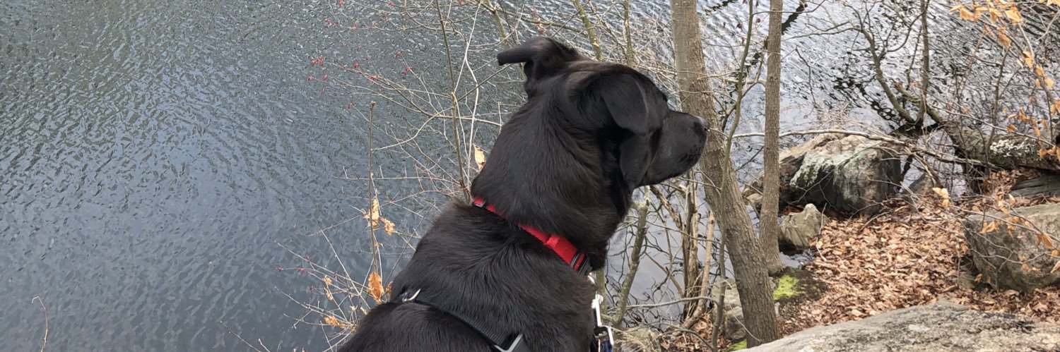 zoekloby's profile banner image
