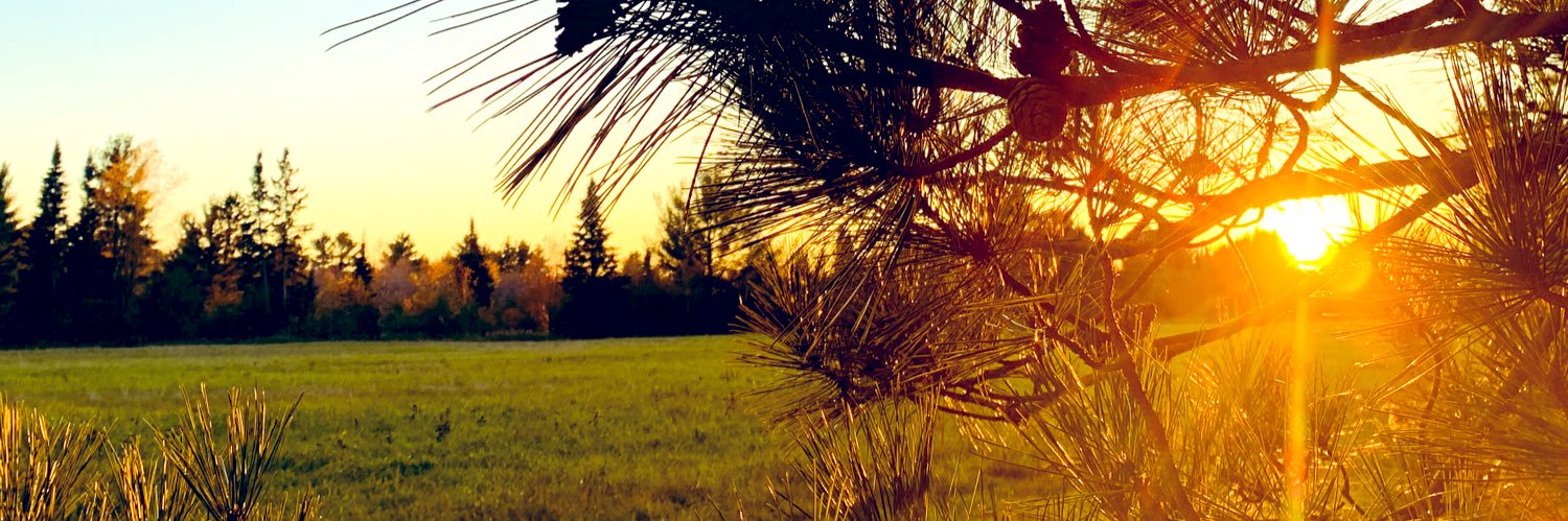 thebiggg_c's profile banner image