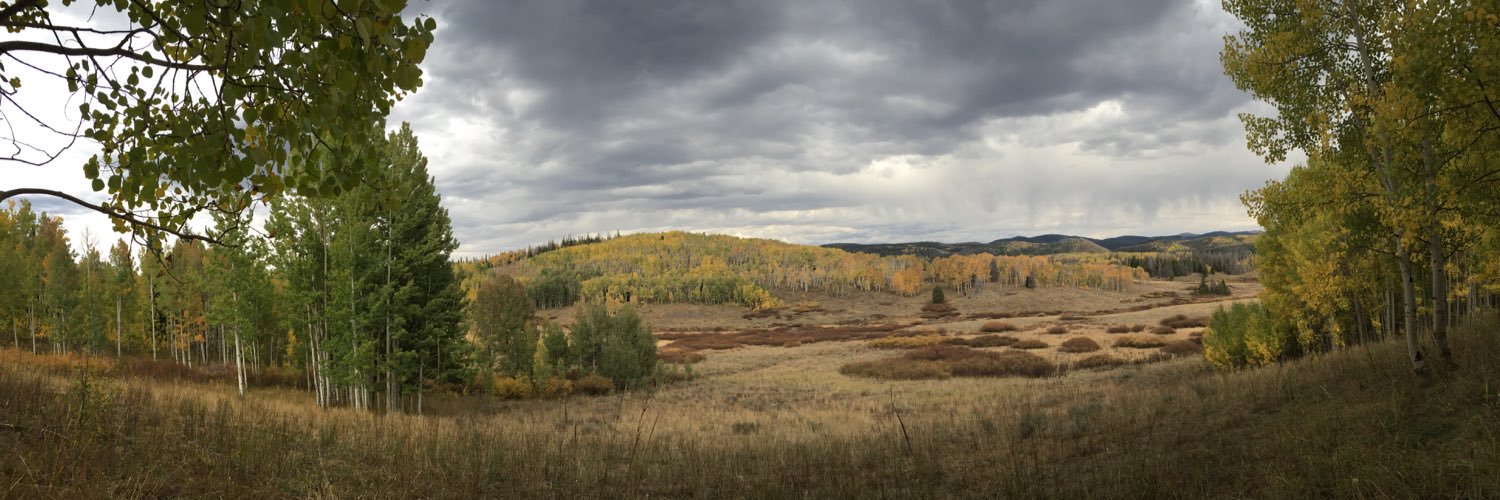 ReidVanderVeen's profile banner image