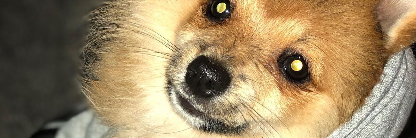 derfoti's profile banner image