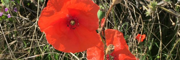 KazzyC63 Profile Banner