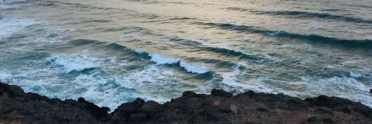 catlvver's profile banner image