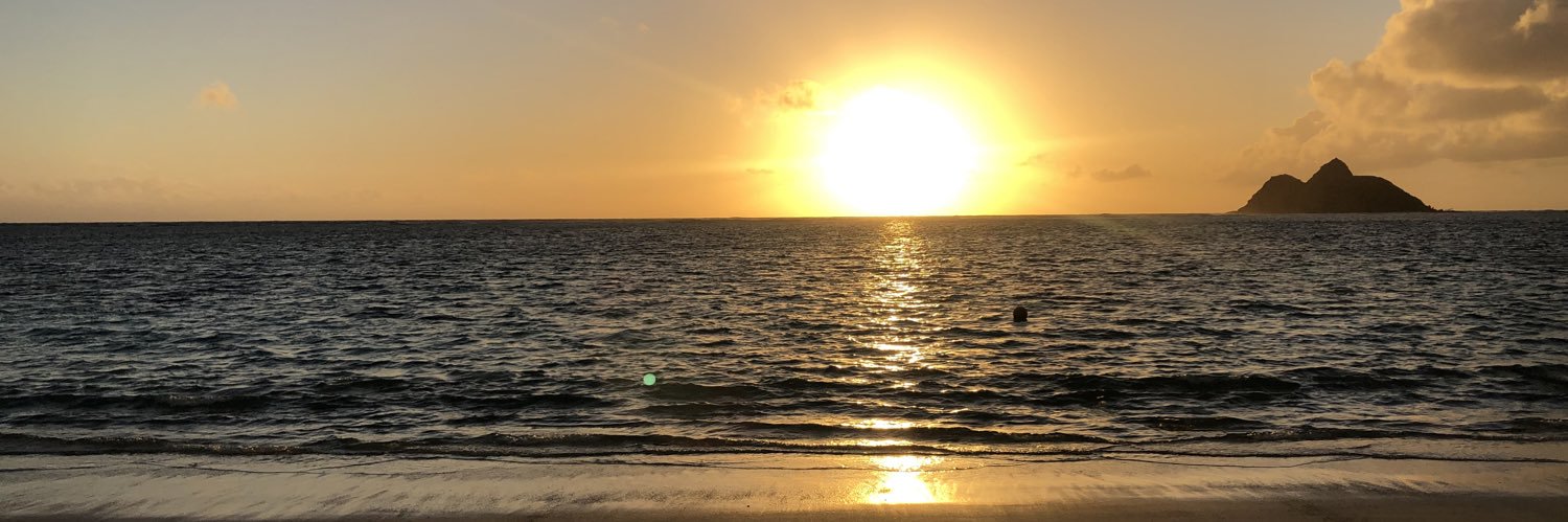 Cela 🌙 🦂 banner