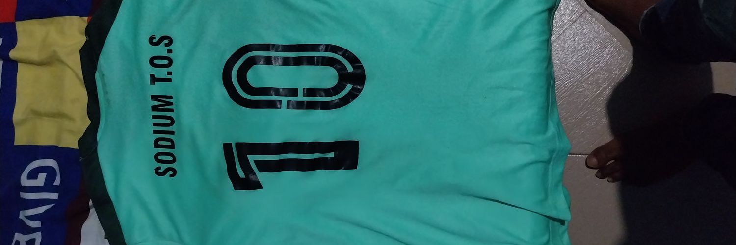 ToluSodium's profile banner image