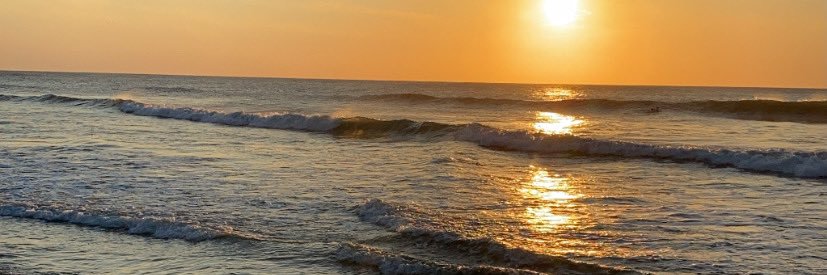 NicoleScarff's profile banner image