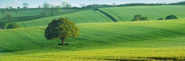 AWOCUK Profile Banner