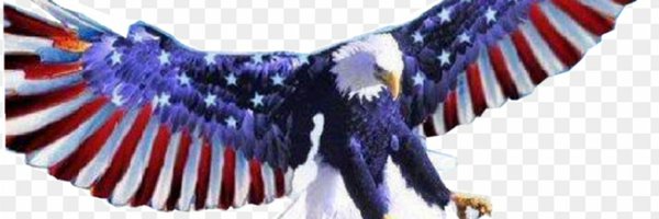 NeverGoFullLibt Profile Banner