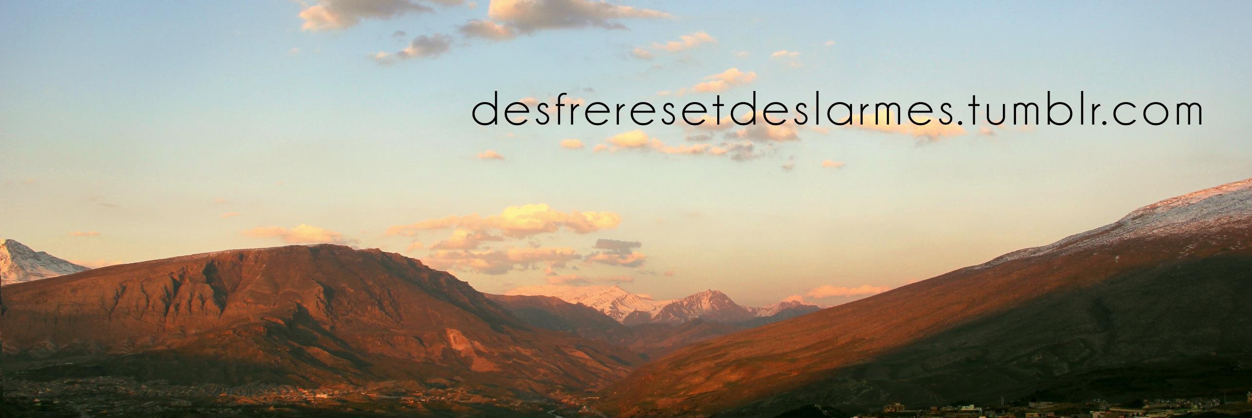 freresetlarmes's profile banner image