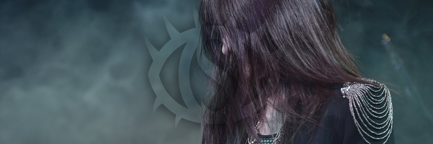 SyAraku313's profile banner image