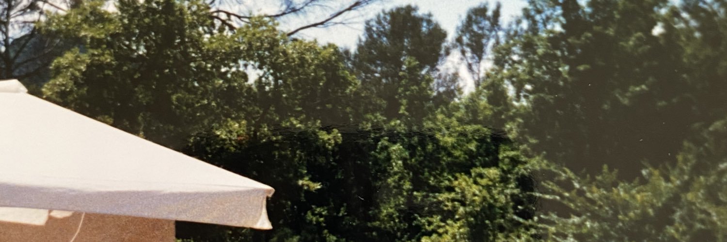 frostyfreckle's profile banner image