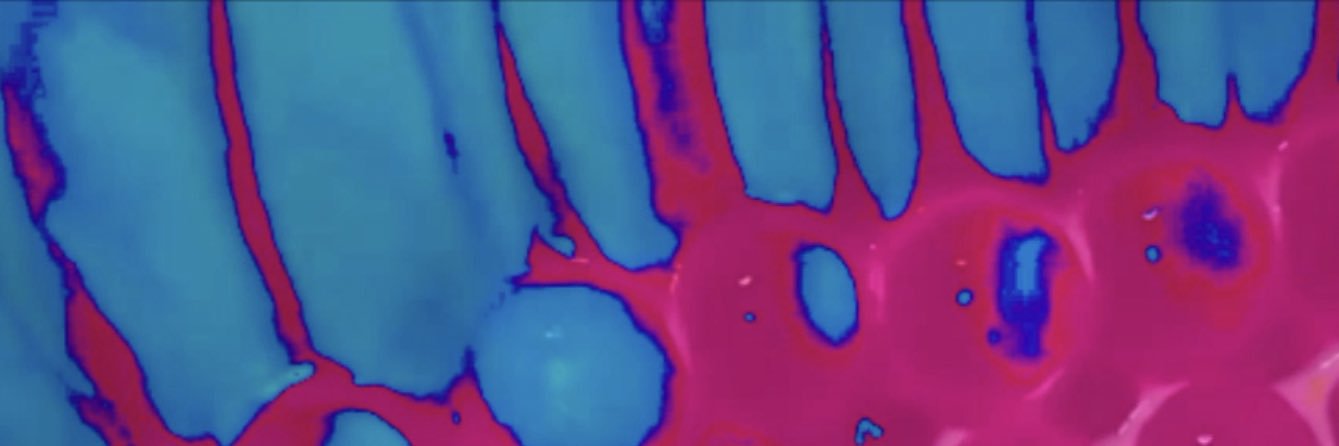 Roca_band's profile banner image