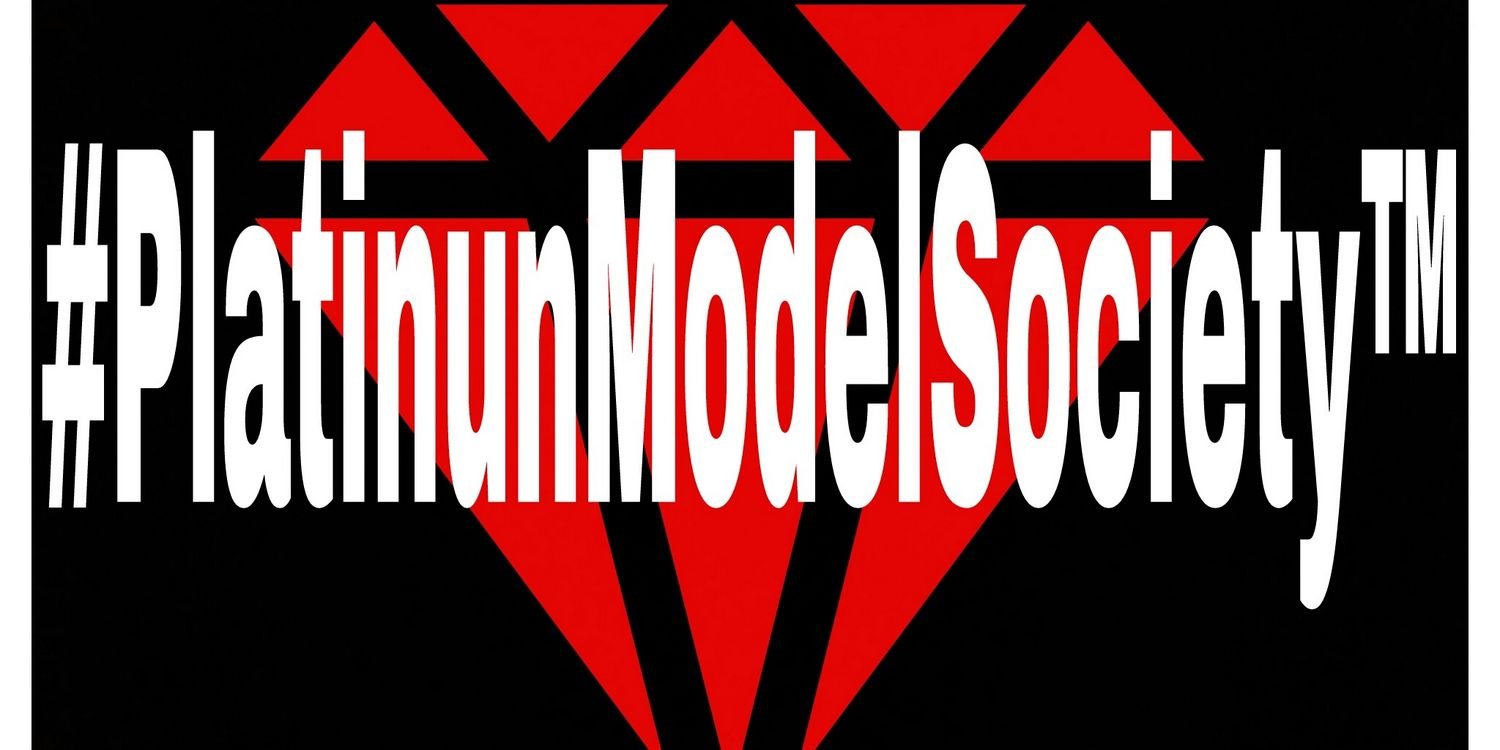 TeamPlatinum__'s profile banner image
