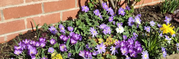 alexrobinson2 Profile Banner