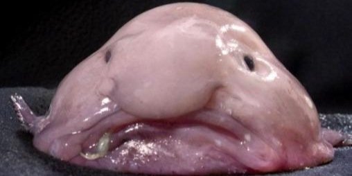 ssesdrmdhf's profile banner image