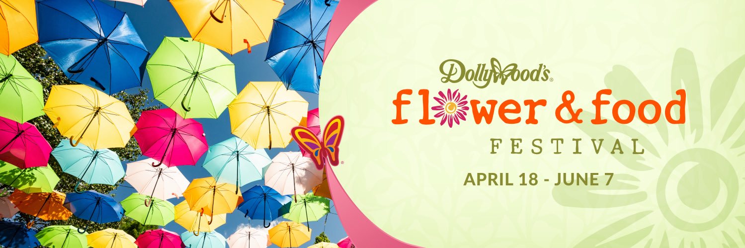 Dollywood's profile banner image