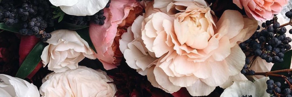 AshMacWrites's profile banner image