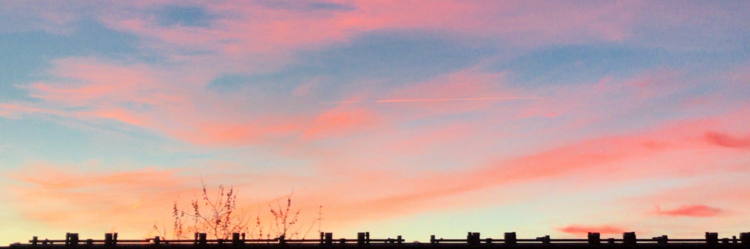 eyeschico's profile banner image
