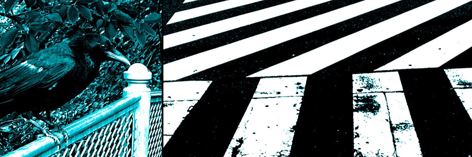 toga16's profile banner image