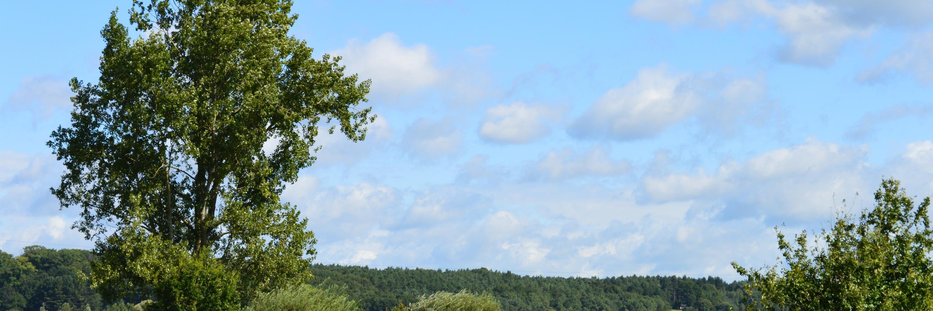 boeske2's profile banner image