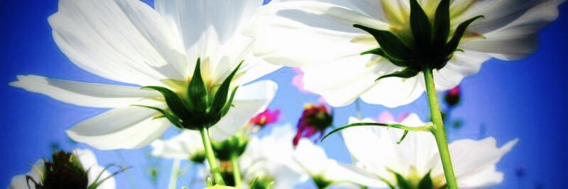 wakei567's profile banner image