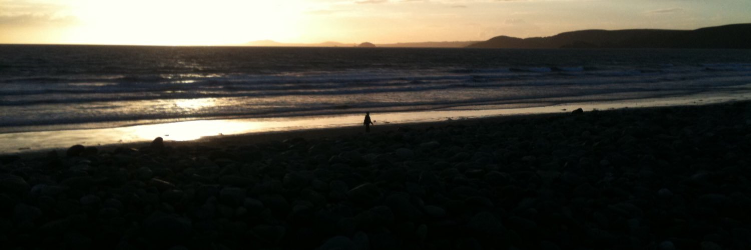 Michelle Lynch banner