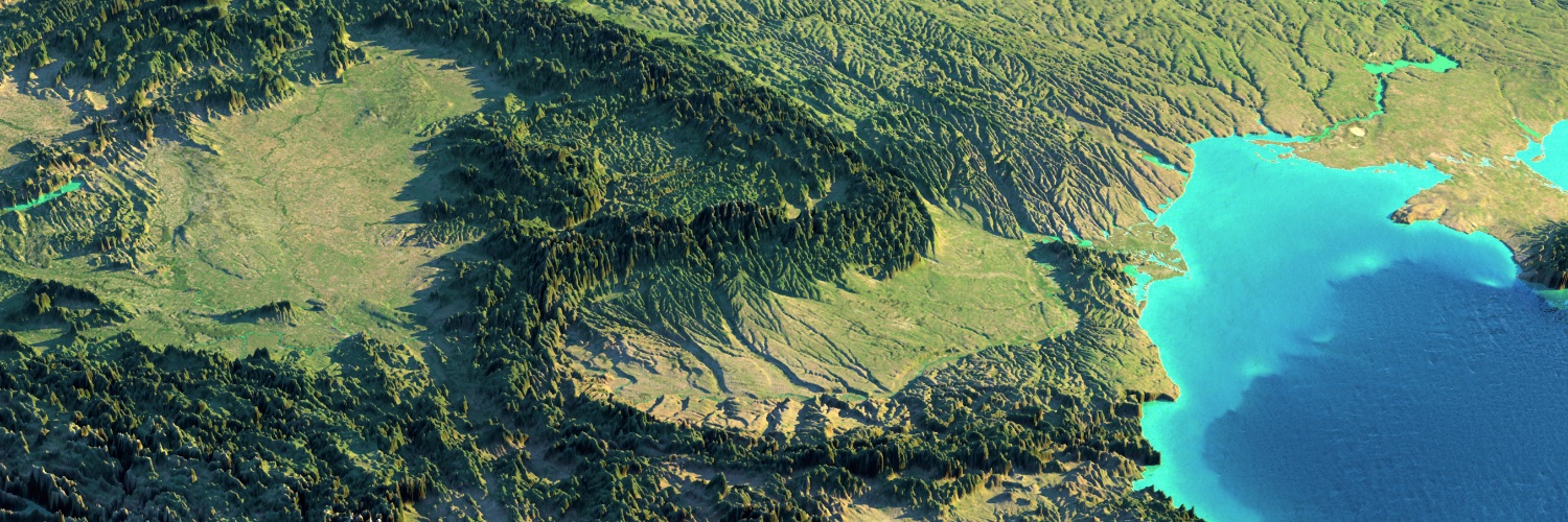 Radu Albu Comănescu banner