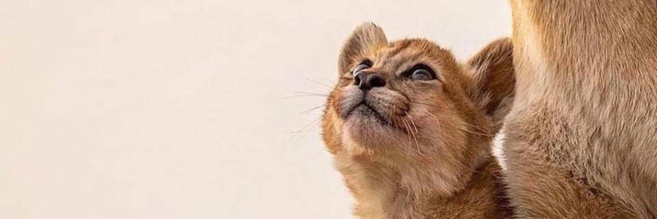 a_KHONA's profile banner image