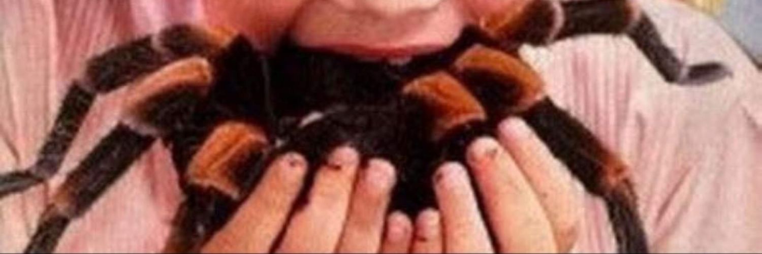 Reilly_Factor's profile banner image
