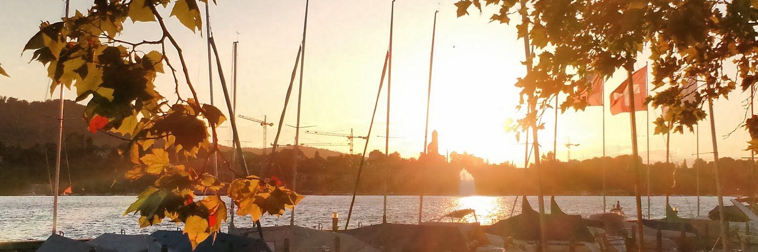 the_erikson's profile banner image