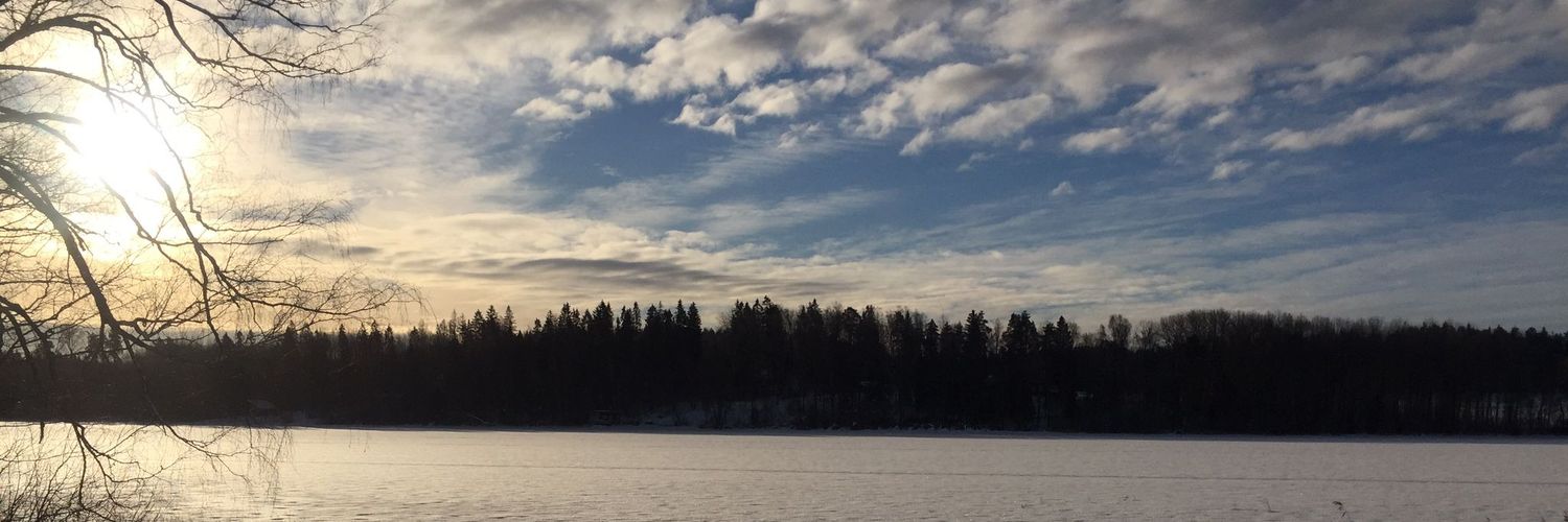 ottovalkamoo's profile banner image