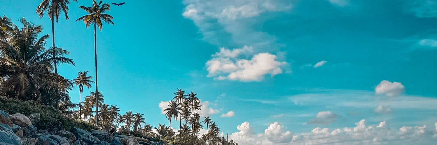 williansilvstre's profile banner image