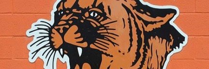 phsencougarment's profile banner image